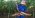 United Nations Develpment Program Cambodian Casaba promotion video