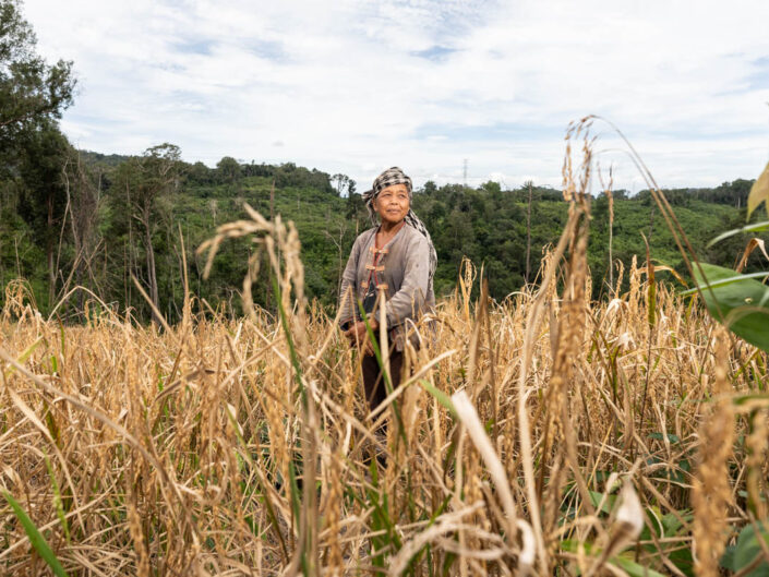 WHO Laos - Last steps in erradicating malaria in Lao PDR