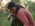 Meet San Davy, a Successful Cricket and Vegetable Farmer – Vets Without Borders Canada