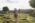 Photos, footage and drone at Brazilian Amazon in Acre state for Vertree