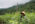 FAO CAMBODIA F.L.R.M. PROJECTS IN PREAH VIHEAR